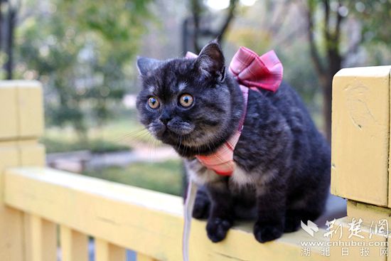 3.13     西山_副本.jpg