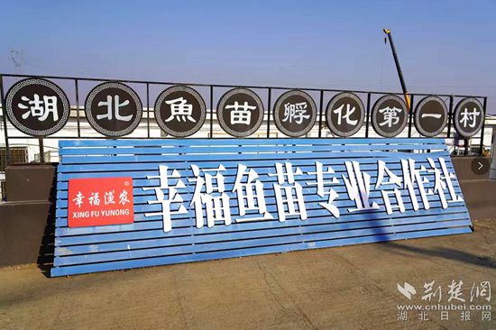 6、湖北魚苗第一村_副本.jpg