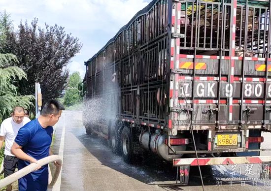 眼見(jiàn)一車生豬被救，長(zhǎng)途司機(jī)李師傅終于松了口氣 (2)_副本.jpg
