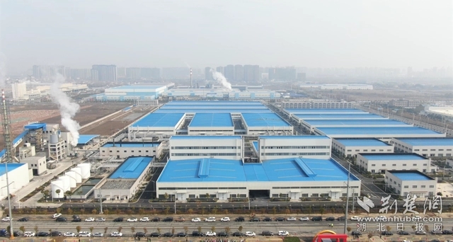 園區(qū)企業(yè)。記者 魯偉龍 攝.webp.jpg