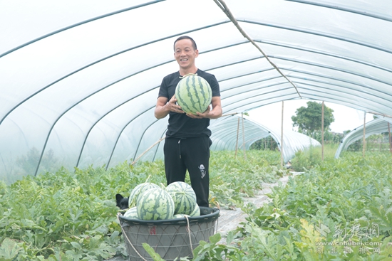 周碾村西瓜基地 曹錦軍.jpg