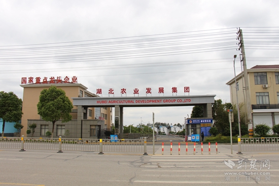 國家級重點龍頭企業(yè) 康宏糧油.jpg