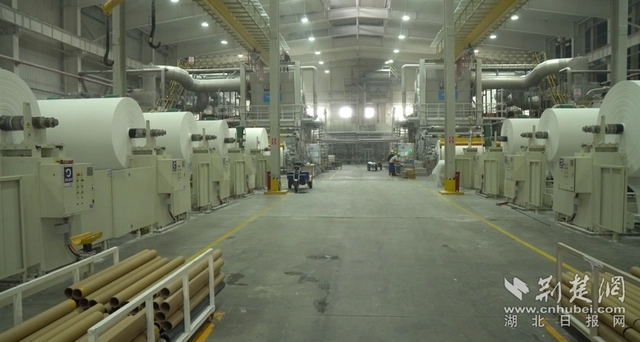 麗邦紙業(yè)。記者 魯偉龍 攝.webp.jpg