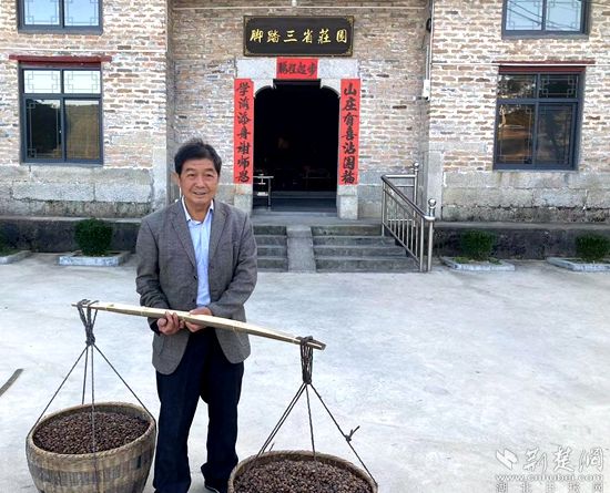 何道關(guān)與自己種的油茶果。黃錚 攝_副本.jpg.jpg