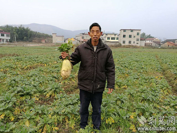 IMG_1803_副本.jpg IMG_1803_副本.jpg