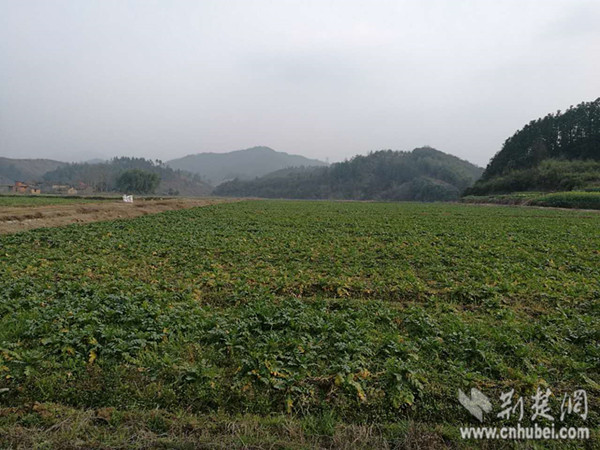 IMG_1805_副本.jpg IMG_1805_副本.jpg